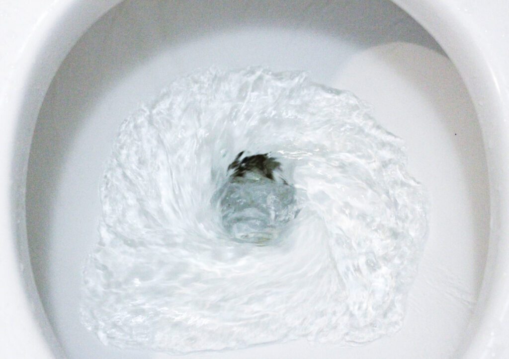 Are Flushable Wipes Really Safe to Flush Down the Toilet? Cates